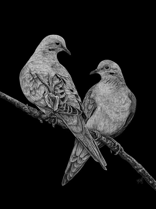 Mourning Doves 8.5x11 Print