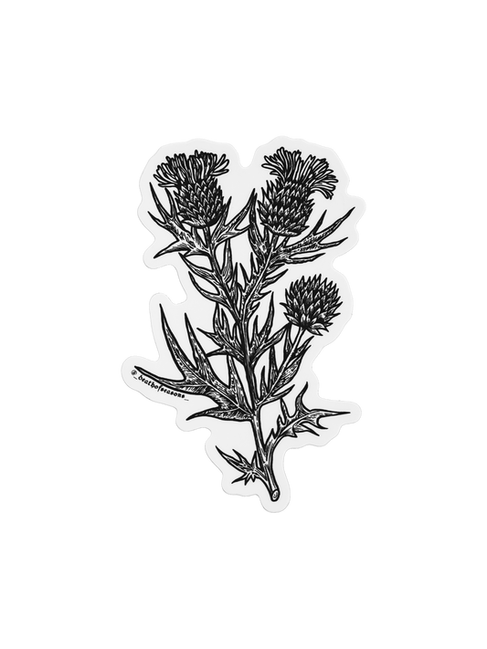 Thistle Sticker