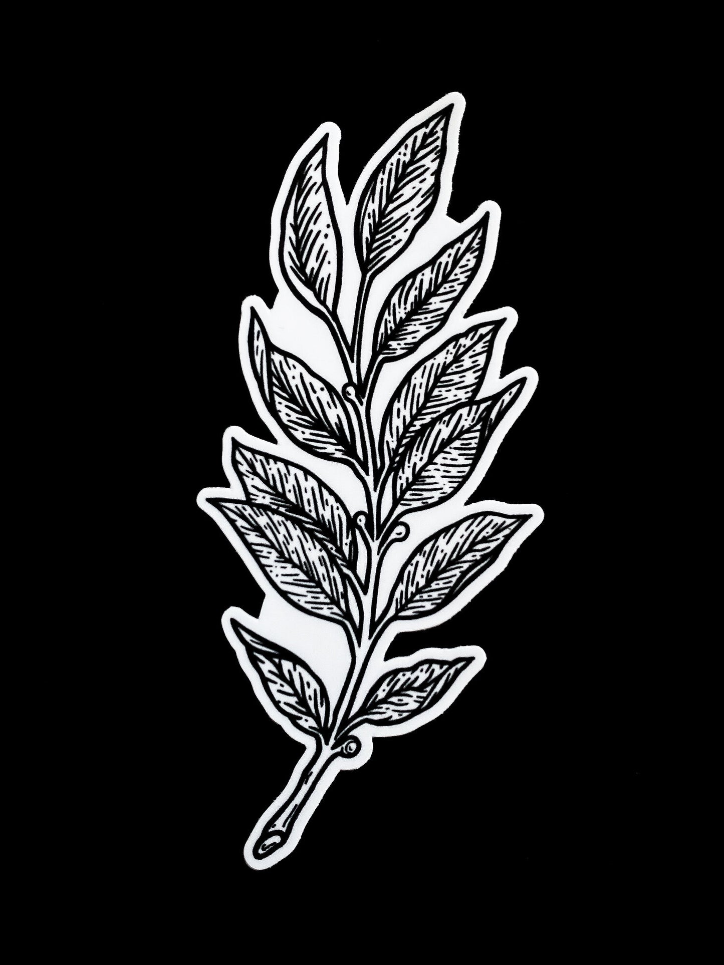 Laurel Sticker - White