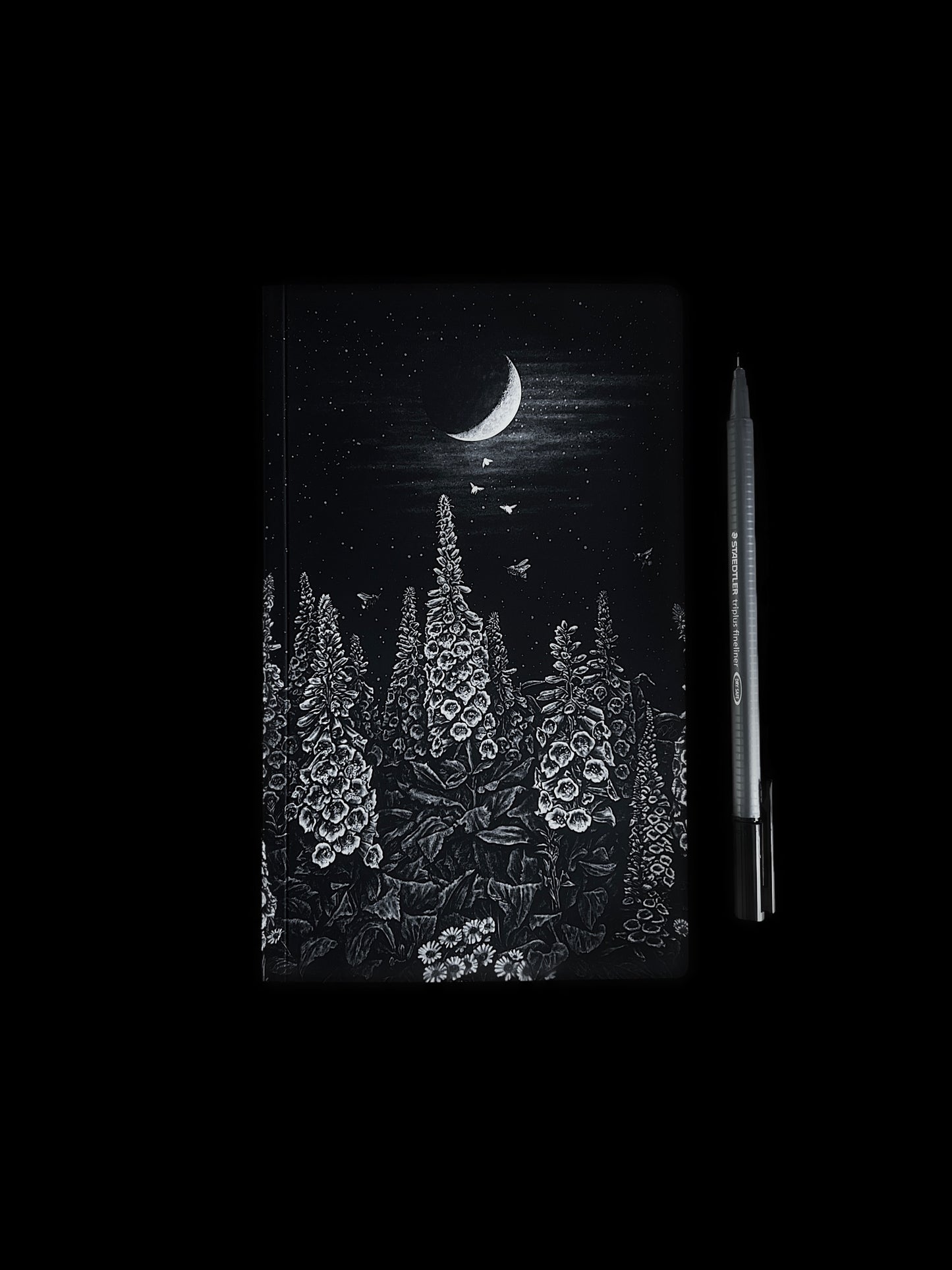 Foxglove Notebook