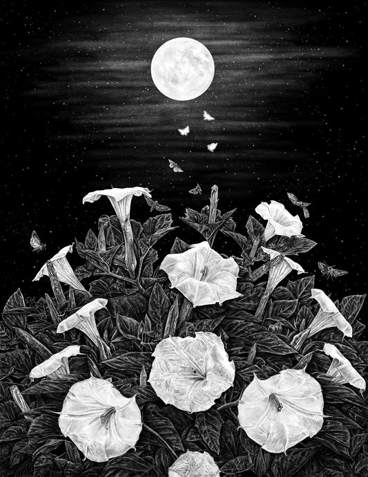 Datura Print