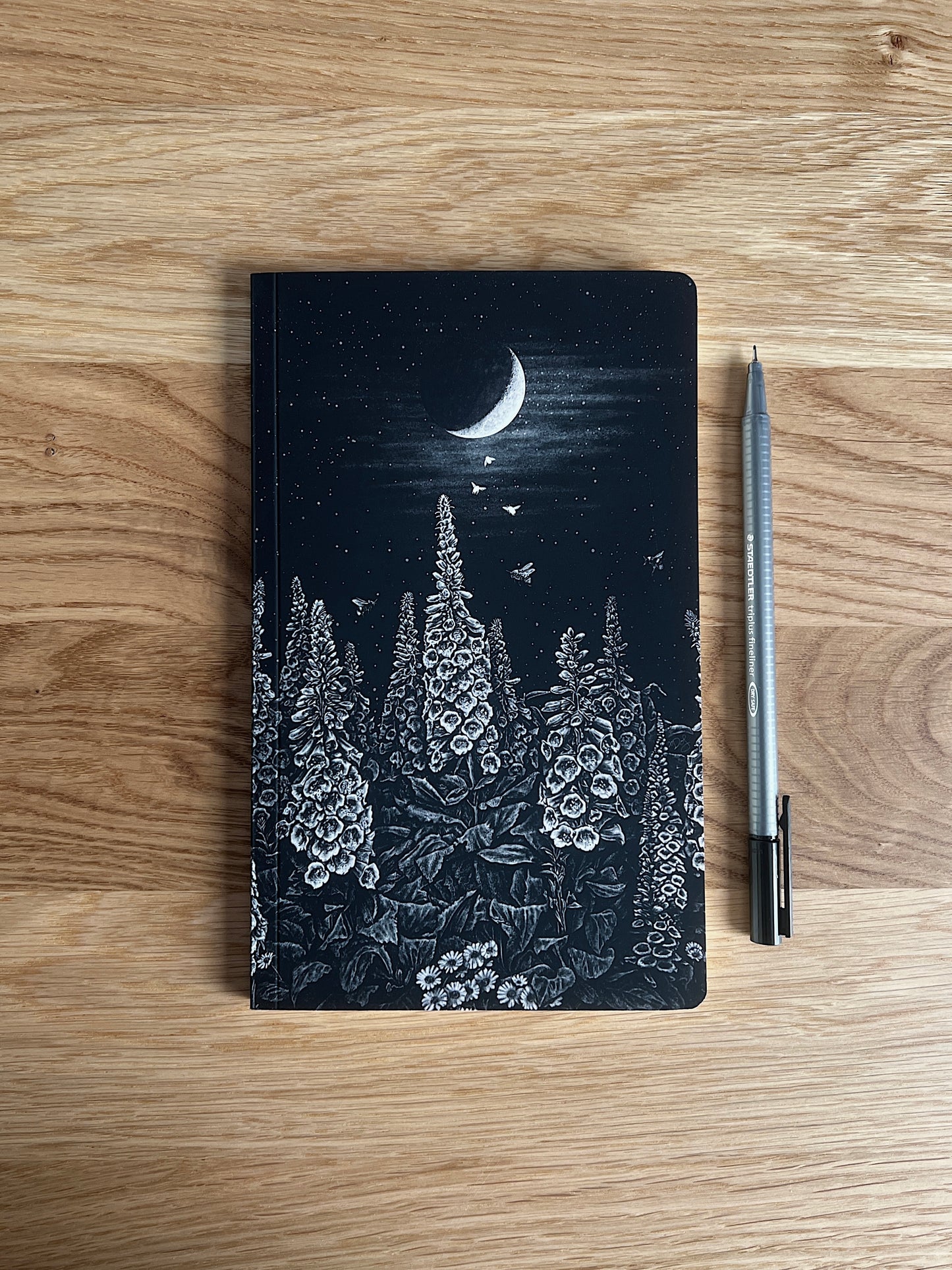 Foxglove Notebook