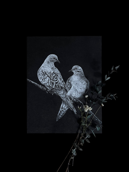 Mourning Doves 8.5x11 Print