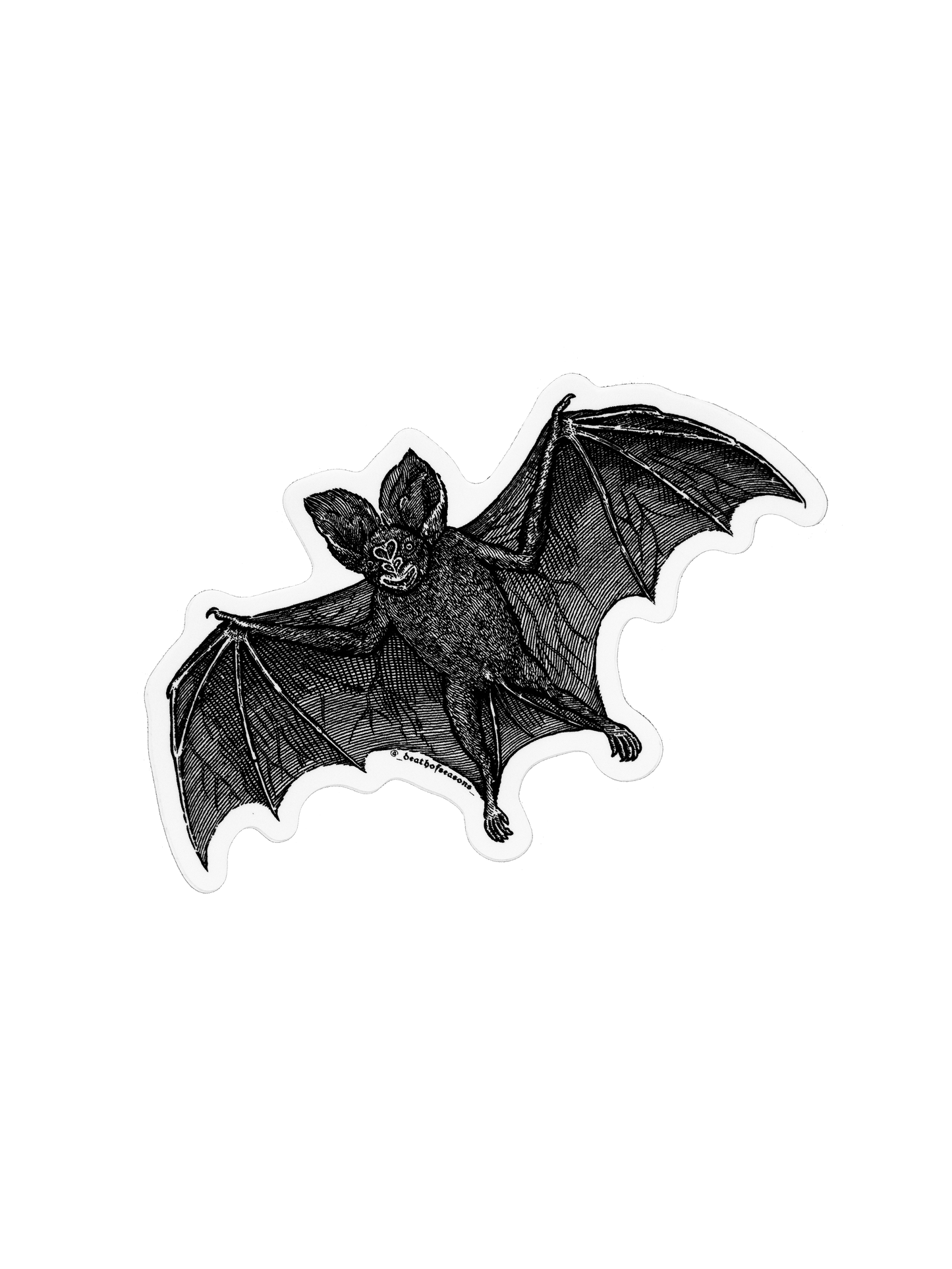 Vampire Bat Sticker