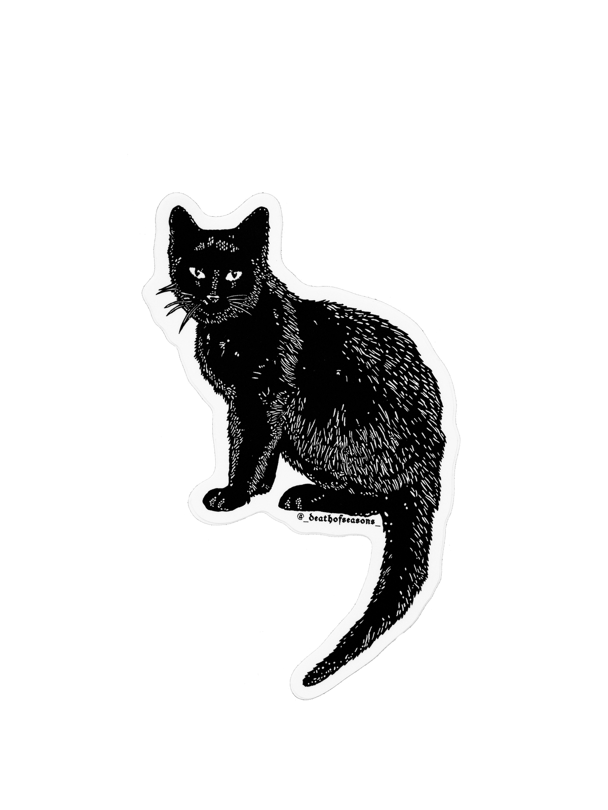 Black Cat Sticker