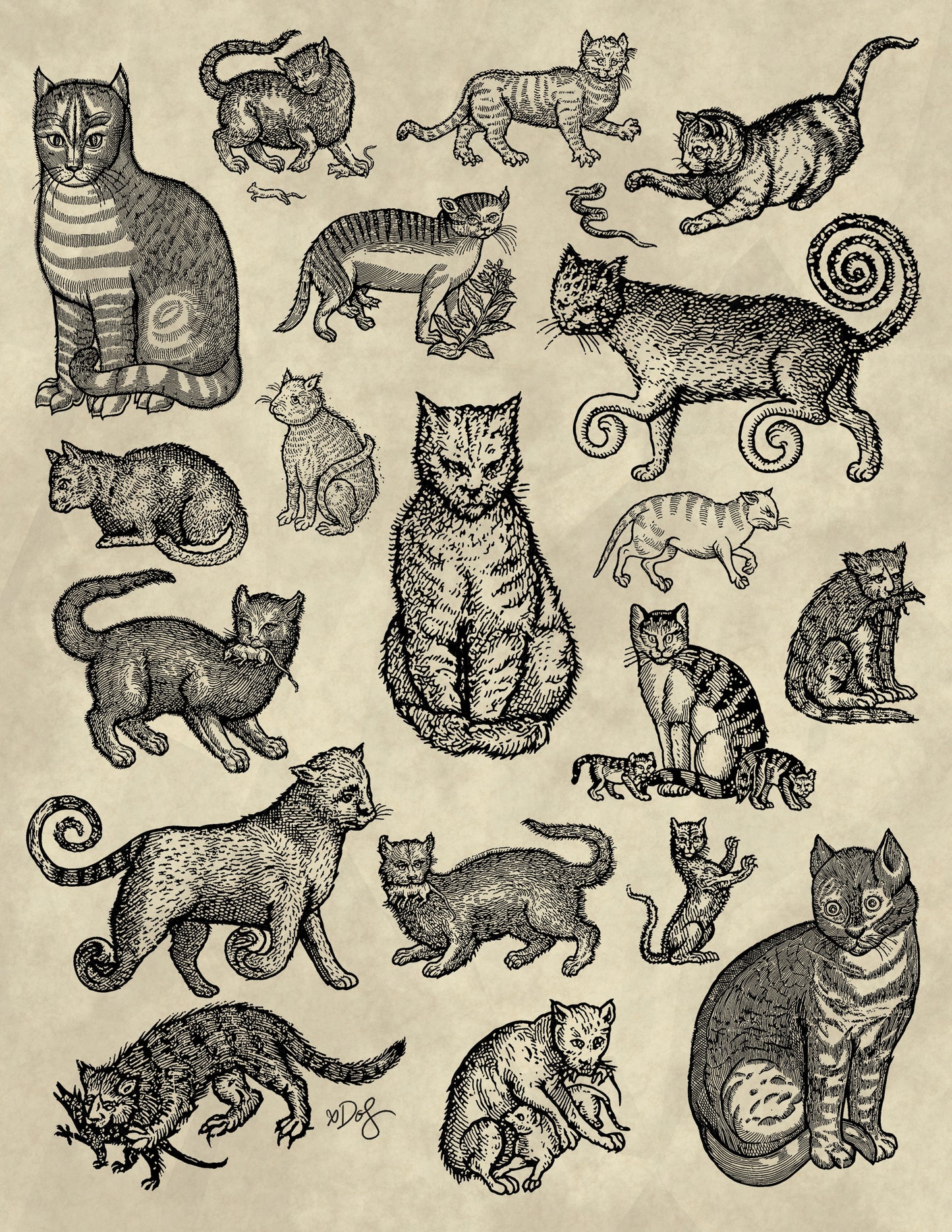Middle Ages Cats 8.5x11 Flash Sheet Print