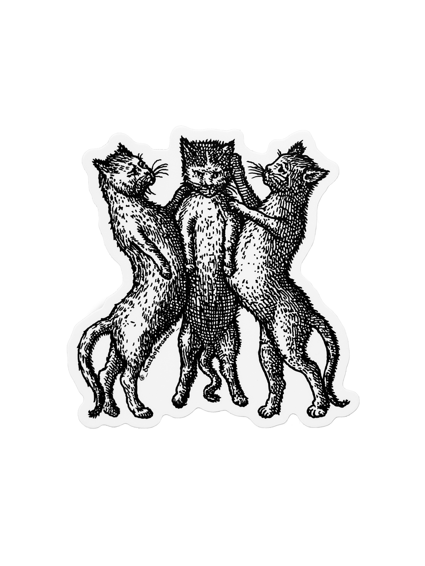 Dancing Cats Sticker