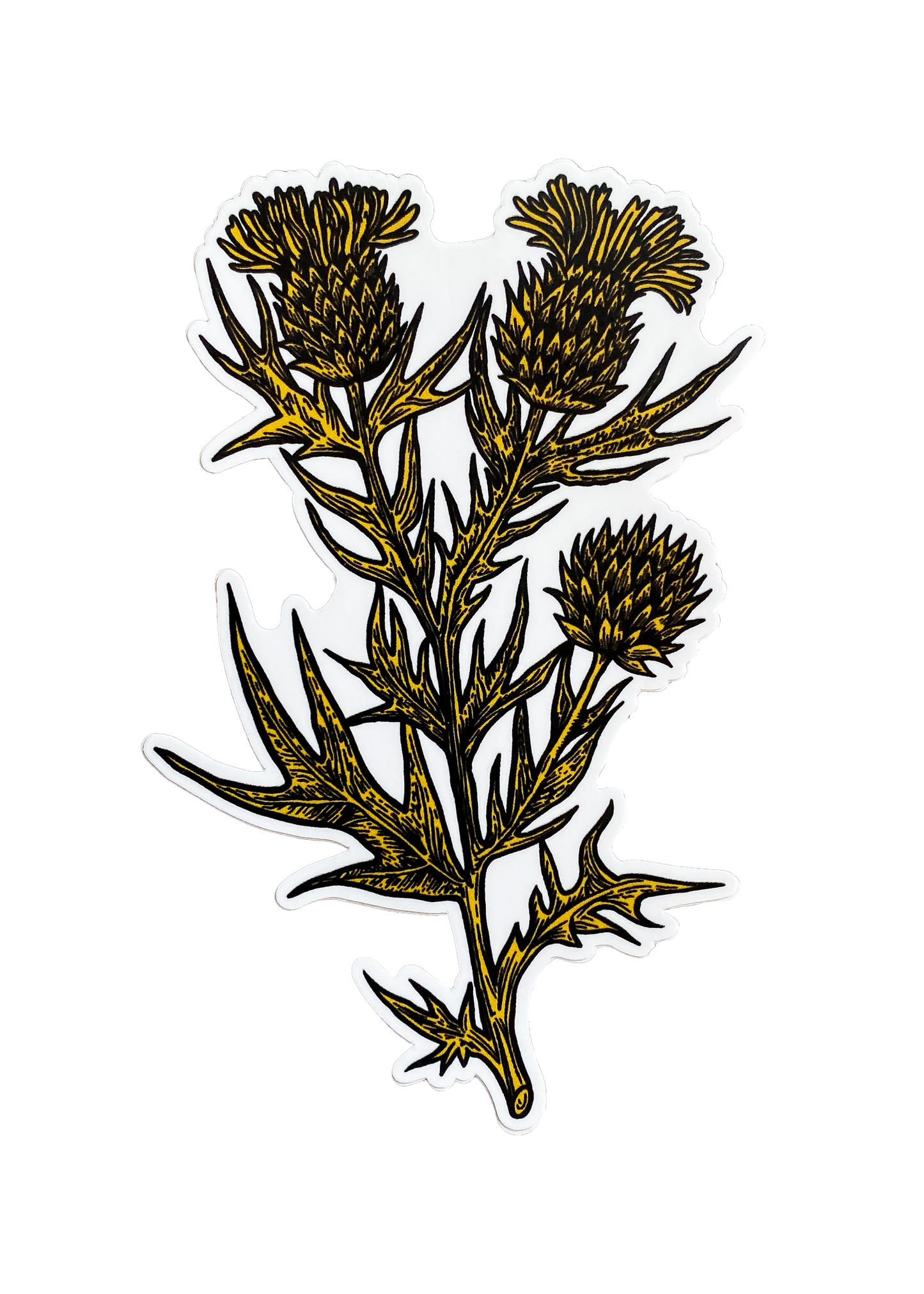 Thistle Sticker – Yellow