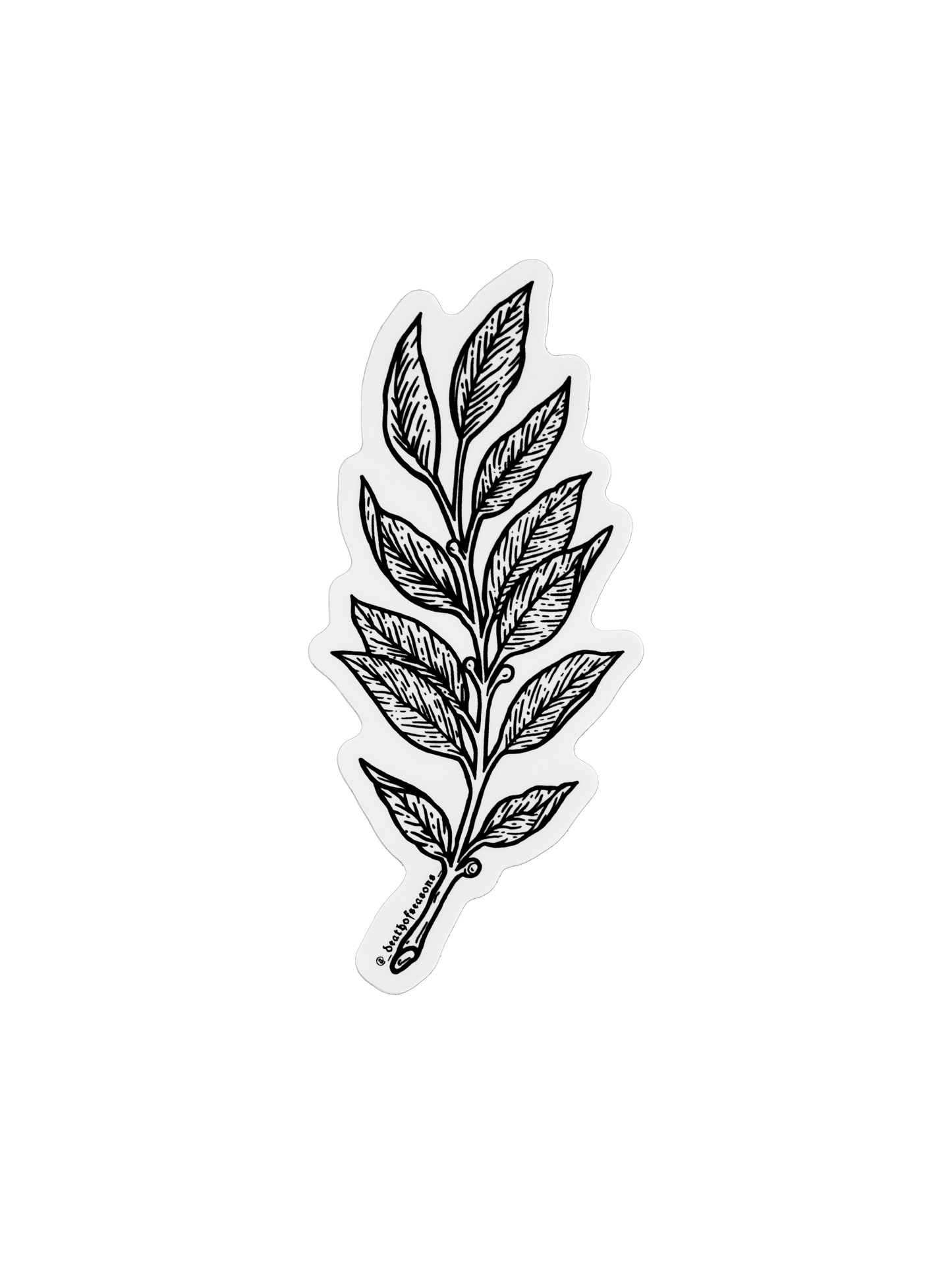 Laurel Sticker
