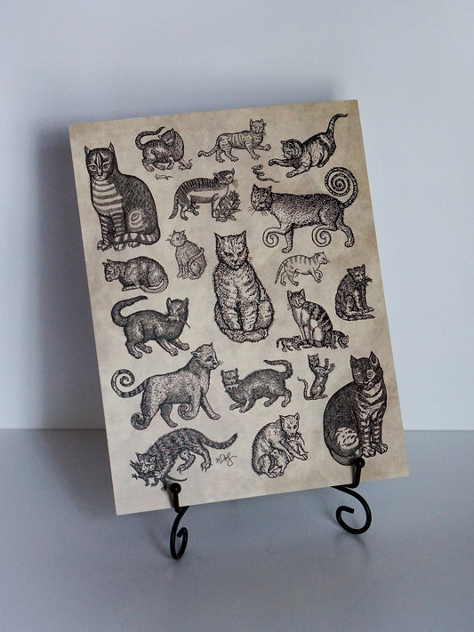 Middle Ages Cats 8.5x11 Flash Sheet Print