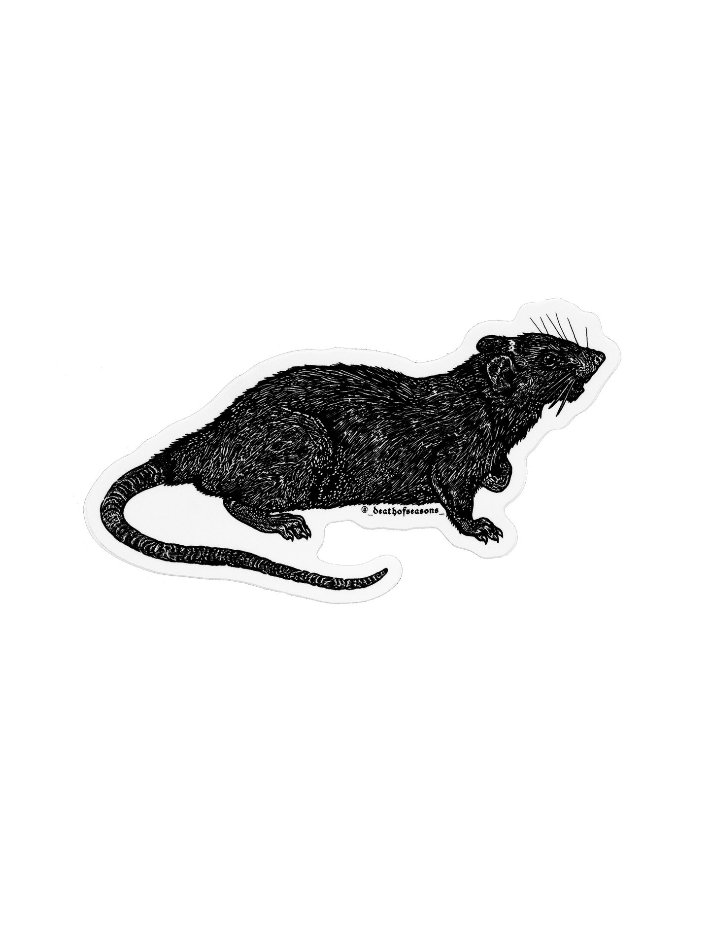 Rat Sticker