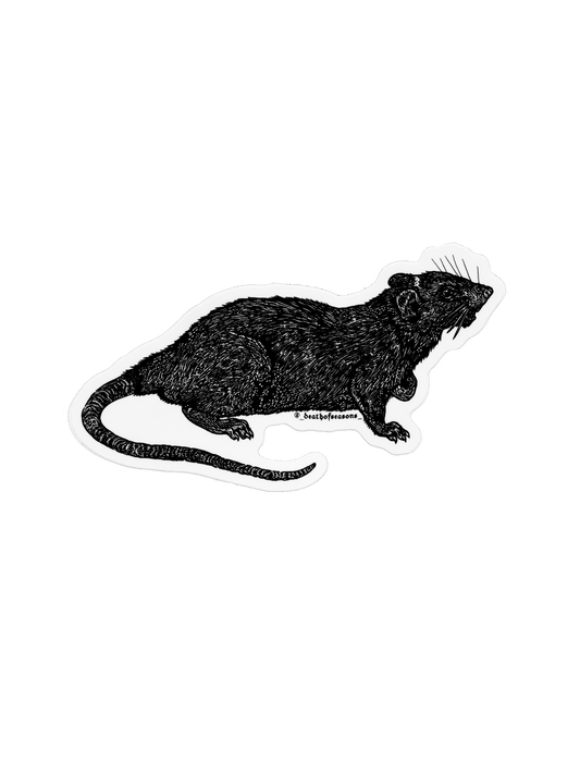 Rat Sticker