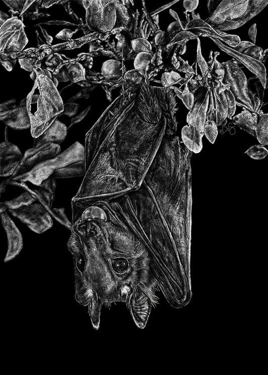 Fruit Bat 5x7 Print