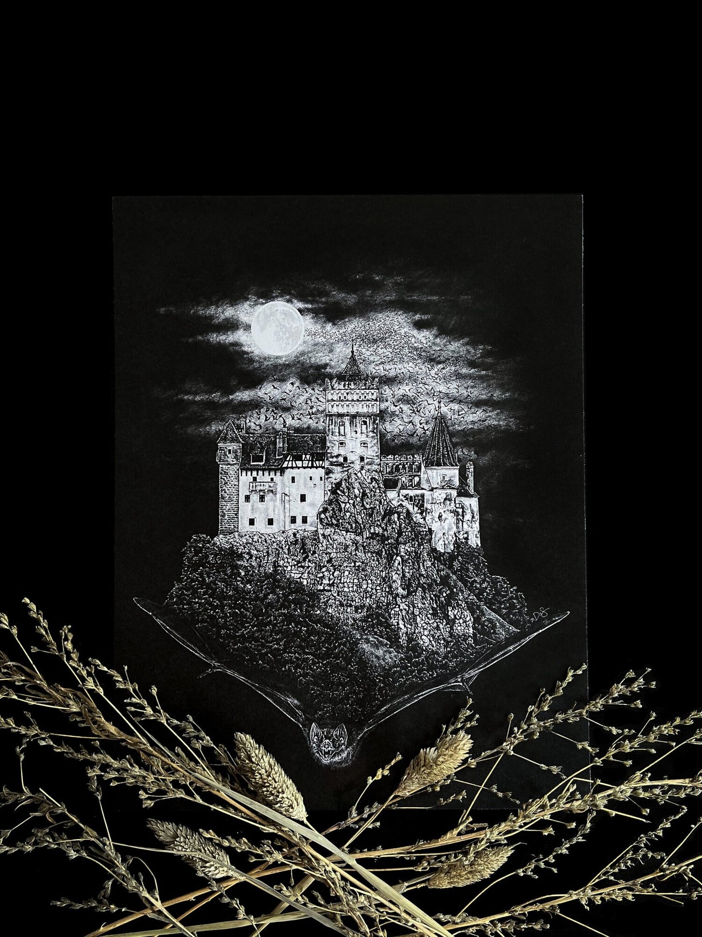 Dracula’s Castle 8.5x11 Print