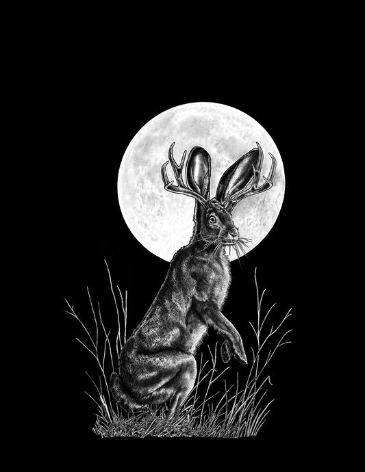 Jackalope 5x7 Print