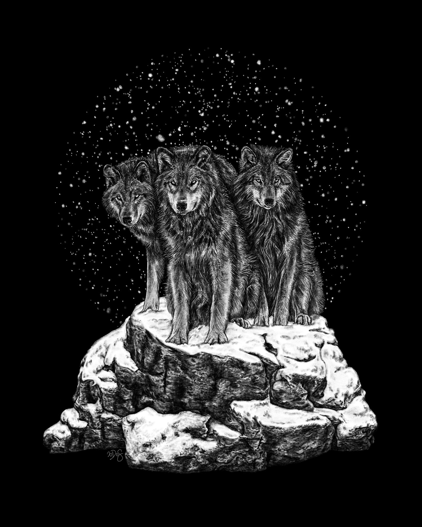Wolves 8x10 Print